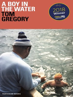 cover image of A Boy in the Water